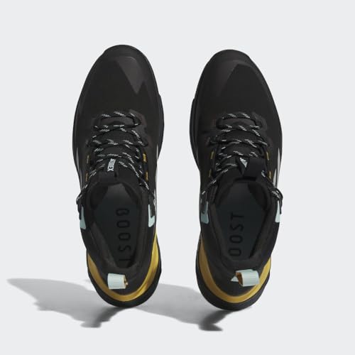 Image of adidas Terrex Free Hiker Gore-TEX 2.0 Hiking Shoes Men's, Black, Size 8