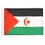 الصحراء الغربية