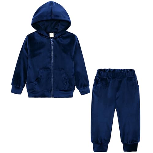 Toddler Girls Boy Clothes Set Fleece Hooded Outfits Casual Sweatsuits Kids Jogger Tracksuits 6M-12Y