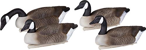 Flambeau Outdoors 8091SHU Storm Front 2 Canada Goose Decoy, Classic Floaters - 4-Pack