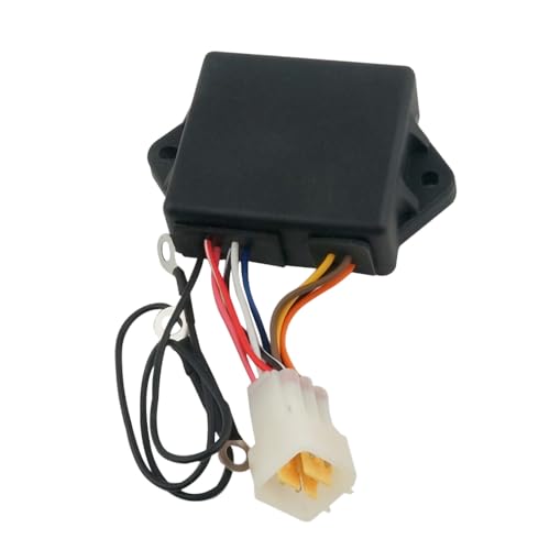Bobine CDI T40-05090200 pour réparer l'allumage en panne du Parsun T40BW 2 temps