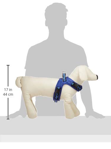 PONTIS 水色 ハーネス・胴輪 TREPONTI トレポンティ ハーネス 犬 小型犬 1号 1.5号 抜け