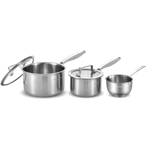 DELARLO Tri-Ply Stainless Steel Saucepan set With Lid 1.0QT And 2.5QT, Small Pot, Induction Cooking Pot Home Kitchen Sauce Pan,Dishwasher Safe & Oven Safe(Detachable Handle)