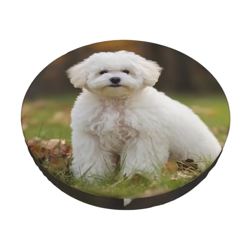 GTKSYNVE �r�V�����t���[�[ ���p�o�[�X�c�[���J�o�[ �h�� ���E���h�V�[�g �N�b�V�����J�o�[ ���e�� ����~�� �o�[�X�c�[�� �X���b�v�J�o�[ �􂦂�X�c�[���V�[�g�J�o�[ �\�t�g�x���x�b�g �o�[�`�F�A�J�o�[ 13�C���`