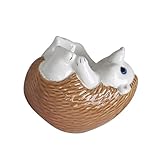 Parfait pour les familles à la recherche de vaisselle adaptée aux enfants, les professionnels occupés ayant besoin d'une solution de nettoyage rapide, et les acheteurs de cadeaux recherchent une décoration de cuisine fonctionnelle