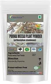 Amazon.com: LAM Poonai Meesai Sticks Powder : Health & Household