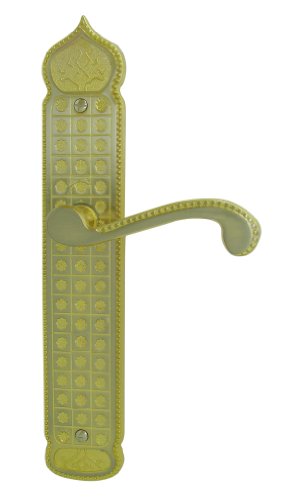 DT 2000 632210 Poignée de porte sur plaque sésame zamak laitonne poli nickelé sans trou