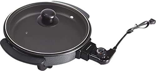 sunbeam stainless steel electric frypan