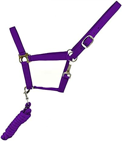 Adjustable Nylon Halter w/ 8 1/2' Removable Lead Rope (Purple)