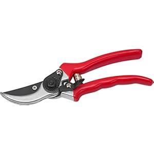 Meister 9719100 Tuinschaar met bypass-lemmet – anti-aanbaklaag – Geschikt voor zacht hout en vers hout – Voor nauwkeurige sneden/rozenschaar/wijnstok schaar/bloemscharen/schaar