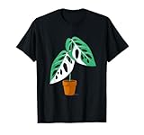 Houseplant Lovers Co.