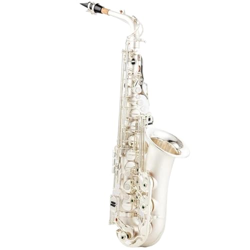 AgTbNX ⃁bLy E tbgTbNX }EXs[Xt vtFbVi vtFbVTbNX