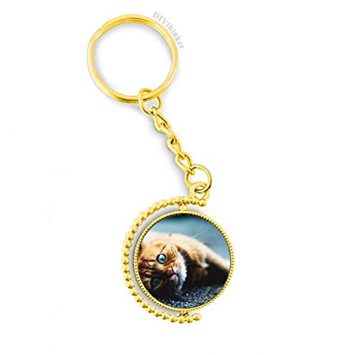 Couplage en acier Lovejoy 28416 amortisseur de vibrations pour arbres de 12,7 cm