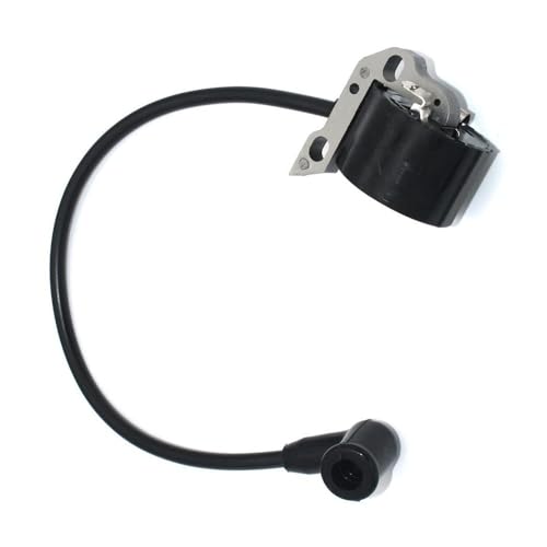 Bobine d'allumage souffleur BR420 SR420 piece de rechange 4203