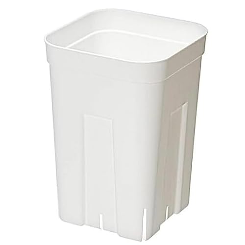 プレステラ 深鉢 105型 ホワイト 白 20個セット