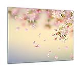 Versátil: la placa de cubierta multifuncional de una sola pieza 60 x 52 no solo sirve como protección de cocina o como superficie de trabajo adicional, sino también como protección contra salpicaduras, tabla de cortar, placa de servir o platillo, ya que el vidrio es resistente al calor desde arriba. Además, es una decoración única para tu cocina.