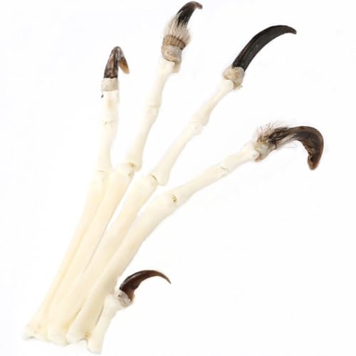 Image of 1PCS Handmade Copper Wire for Making Fox paw specimens, Collecting Gift Bone specimens Ornament