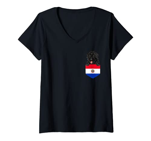 Womens Paraguay Flag Bouvier des Flandres Dog In Pocket V-Neck T-Shirt, Black