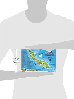 Curacao Dive Map & Reef Creatures Guide Franko Maps Laminated Fish Card