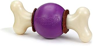 PetSafe Busy Buddy Bouncy Bone M Durable Dog Chew Toy, Dog Toy Bone with Treat Rings - Medium