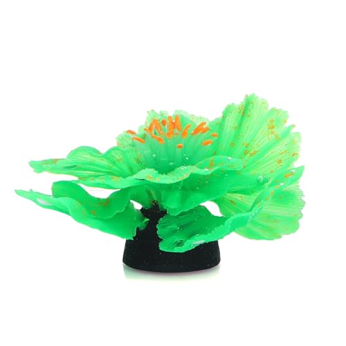 Patapalooza Fluoreszierende Wasserpflanzen: Hohe Helligkeit, Vielzahl von Farben, pflegeleicht, ideal für dekorative Aquarien und Wasserlandschaftsbau.