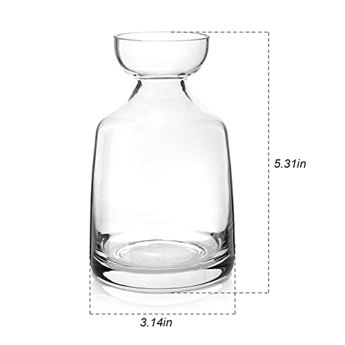 Yaoxianwu Glass Avocado Tree Flower Vases - Avocado Tree Growing Kit Flowers Pot Acorn Plant Glass Bulb Vase For Home Table Desk Indoor Decor1 #TOP1
