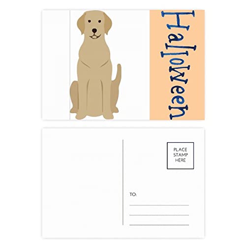 Cartes postales d'Halloween pour amoureux des animaux lot