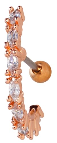 [From da Phactory] t _ t@Ng[ C[Jt }[LX rW[ C Xg[go[x XeX  {fBsAX 1(18G,sNS[h)