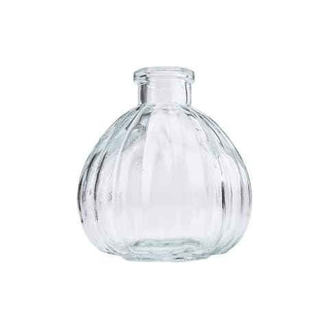 PEPAXON Vintage Clear Glass Bud Vase Cover