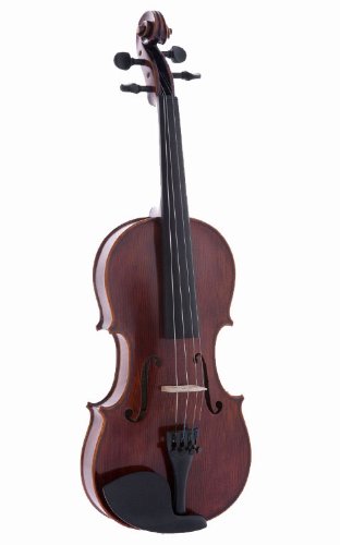 D'Luca PD01 Orchestral Series Intermediate Violin Outfit - 1/4