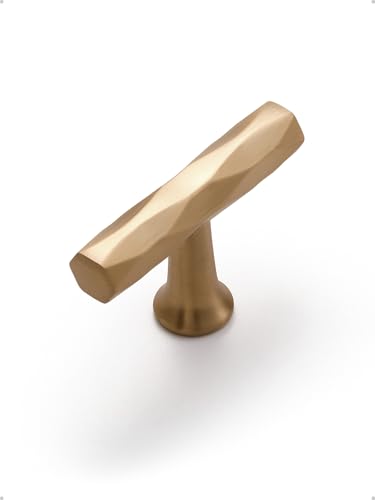 JIASENBAO Champagne Bronze Cabinet Knobs 10 Pack Hammered Cabinet Handles