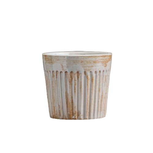 Vlfn ge R[q[Jbv eA[gJbv eB[Jbv cXgCv??֖ 190ml a 芴JtFe[uACe (X^C2 CgO[)