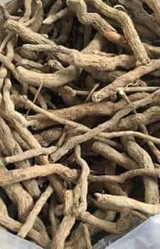 UE Sarpagandha Root 50g | Selected