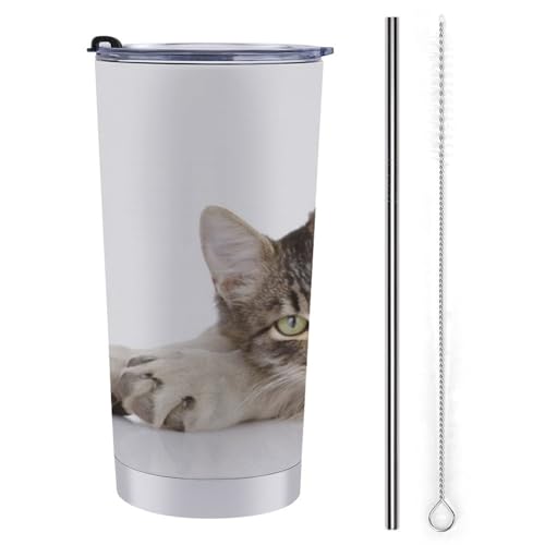 L Č  XeX}OJbv |[^u 600ml ۗ ۉ Wt ^u[ 򂪗e d\ fM ڂȂRbv ItBXԗp