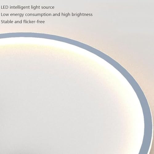 Lámpara de techo LED redonda for sala de estar y pasillo de diseño 6