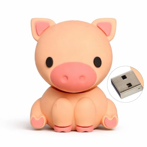 Clé USB Cochon 16 Go - Idée d'anniversaire Originale pour Adolescents, Filles ou garçons -...