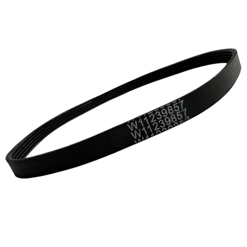 W11239857 W10808317 W10006384 - Correa de transmisión para lavadora Whirlpool, Maytag, para lavadora Amana de carga superior, sustituye a AP6333320, 4845287, PS12578772, W10808317