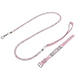 Collier et laisse intégrés : cet ensemble laisse et collier permet une gestion facile de la laisse et du collier du chiot, un contrôle efficace en extérieur et des promenades en toute sécurité
