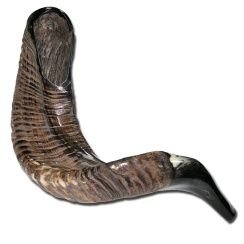 Ram's Horn Shofar Kosher Large Size 17
