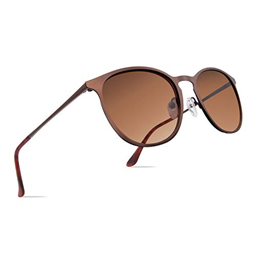 Classic Round Retro Sunglasses UV400 Circle Lens Metal Frame Men Women FW1006 C1 brown