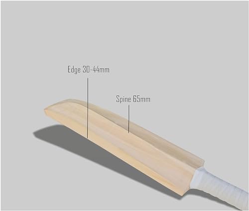 Image of WW Sports Super Star Plan Kashmir Willow Cricket Bat for Mens, Size - Mens Pack of 1