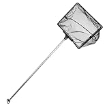 Mango largo extensible: el mango de acero inoxidable puede extenderse hasta 45 cm, fuerte y plegable, lo suficientemente largo, mantiene tu mano lejos de la humedad cuando atrapas peces, muy conveniente.