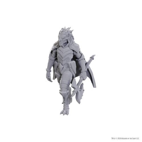 Wizkids - D&D Nolzurs Marvelous Miniatures: Wave 25 - Dragonborn of Tiamat