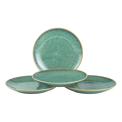 HENXFEN LEAD 8-Inch Porcelain Plates Cover