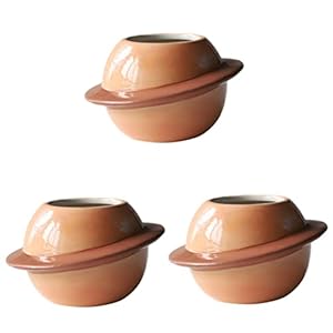 ULTECHNOVO 3 Stks Outdoor Bonsai Leuke Opslag Bloem Succulent Voor Keramische Bloempot Planter Container Mooie Plant Pot…