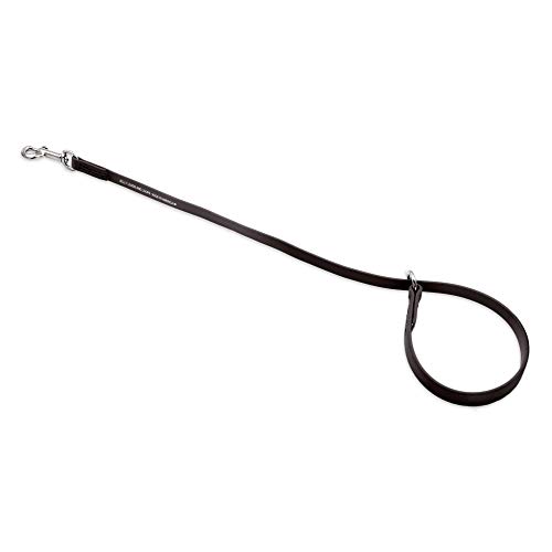 Attache Jelly Grooming Loop pour sécuriser le chien sur la table - 2