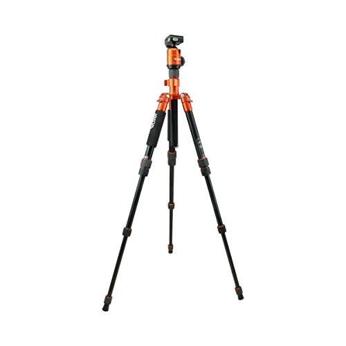 Rollei Compact Traveler No. 1 - leichtes Reisestativ aus Aluminium mit geringem Packmaß von nur 31,5 cm, Arca Swiss kompatibel – Bild 3