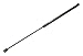 Crown Automotive 55029558 Liftgate Support