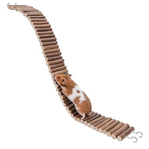 Generico Rampa para hámsters | para jaula de animales pequeños para enriquecimiento – Escalera de escalada para hámsteres, para chinchillas, reptiles, jerbos, tamias, petauri del azúcar