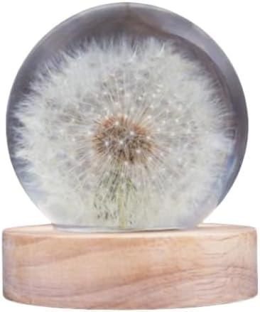 AZIEBAY ^||W{ CeAIuWF ObY v[gp  ԏ Cgx[Xt